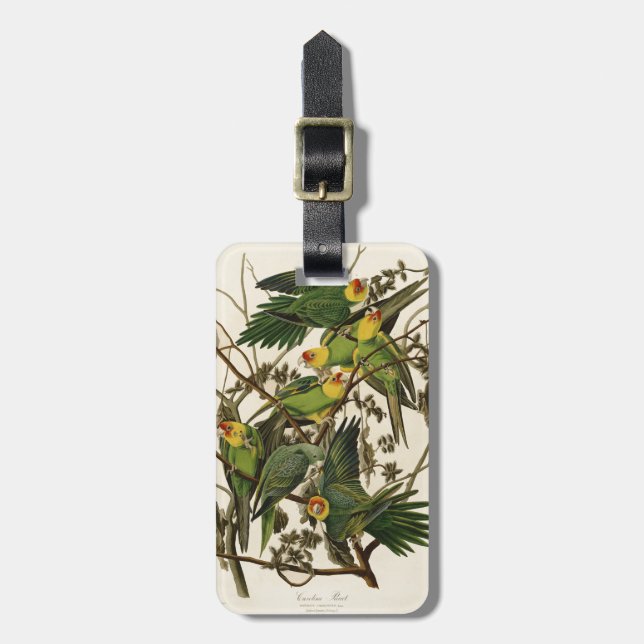 Etiqueta Para Maletas Ilustracion Audubon Carolina Parrot Bird (Frente Vertical)