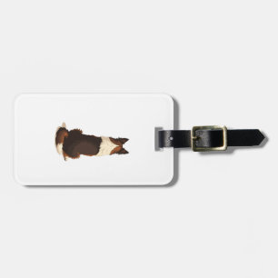Etiqueta Para Maletas Ilustración de perro Border Collie vintage desde a