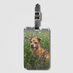 Etiqueta Para Maletas Imagen de perro propia