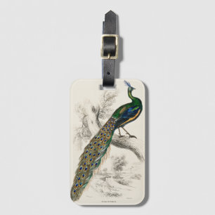 Etiqueta Para Maletas Impresión de historial natural de pavo real