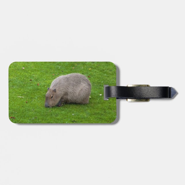 Etiqueta Para Maletas Increíble Animal Carpincho (Atrás Horizontal)