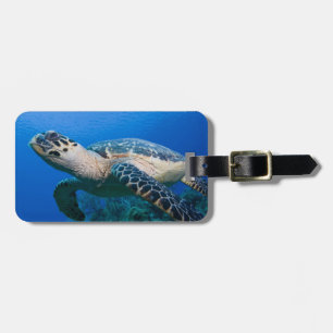 Etiqueta Para Maletas Islas Caimán, Little Cayman Island, Bajo el agua 2