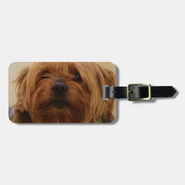 Etiqueta Para Maletas Jake The Yorkie Terrier (Frente Horizontal)