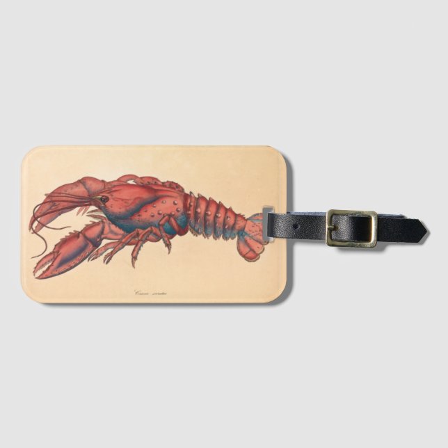Etiqueta Para Maletas James Sowerby Serrate Lobster (Anverso horizontal)