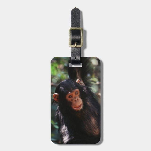 Etiqueta Para Maletas Joven chimpancé (Frente Vertical)