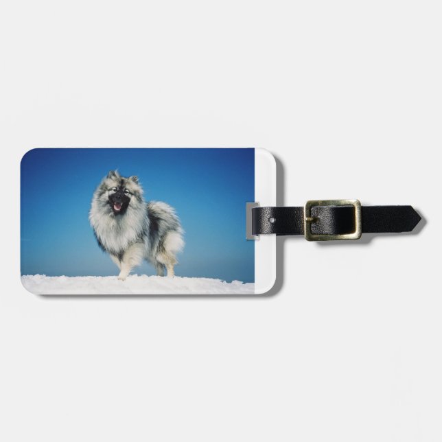 Etiqueta Para Maletas keeshond por completo en snow.png (Frente Horizontal)