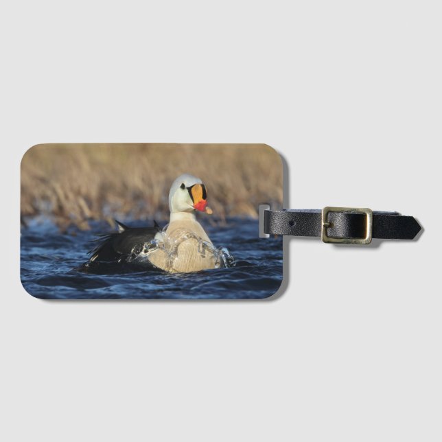 Etiqueta Para Maletas King Eider Bird (Anverso horizontal)