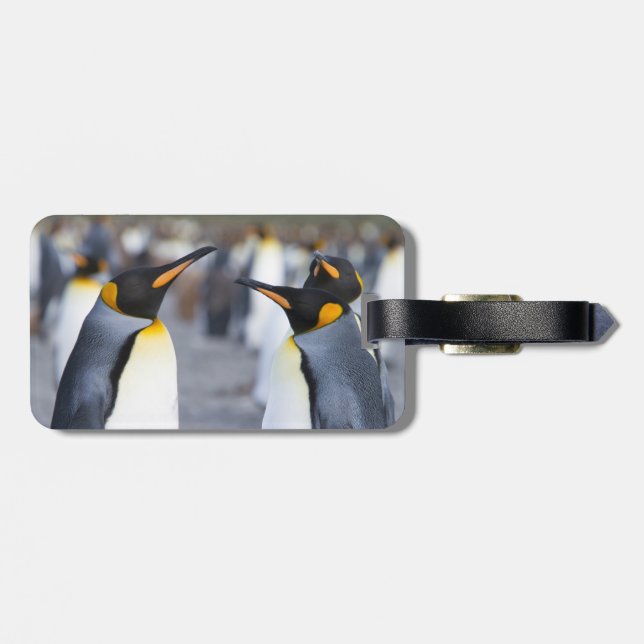 Etiqueta Para Maletas King Penguins (Atrás Horizontal)