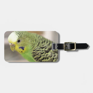 Etiqueta Para Maletas Kiwi