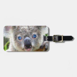 Etiqueta Para Maletas Koala Bears