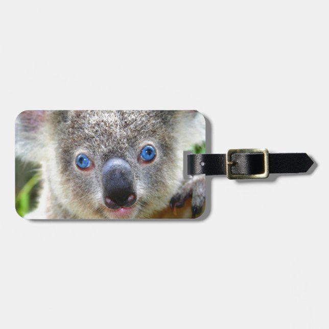 Etiqueta Para Maletas Koala Bears (Frente Horizontal)