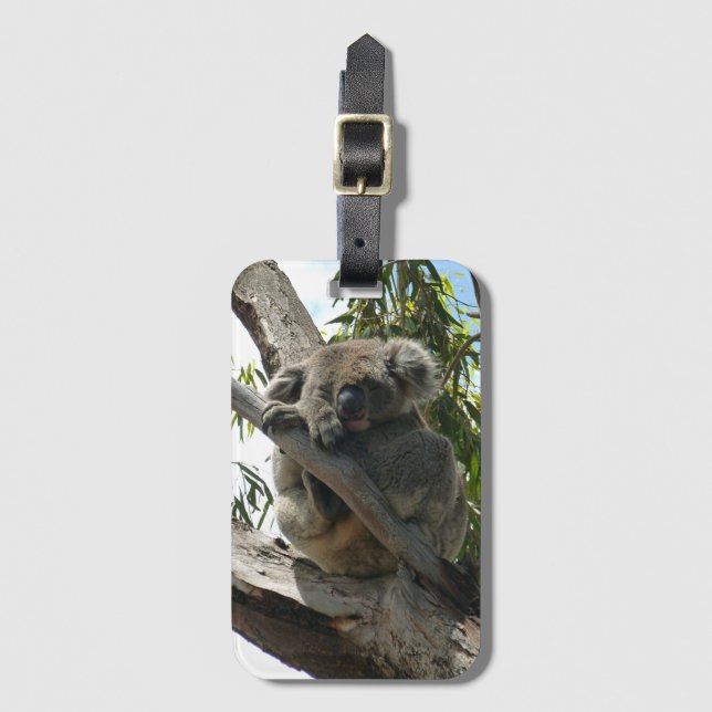 Etiqueta Para Maletas Koala - Dormido (Anverso vertical)