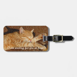Etiqueta Para Maletas La foto del mascota personalizado