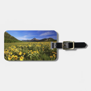 Etiqueta Para Maletas La raíz de globo de Arrowleaf cubre el prado con