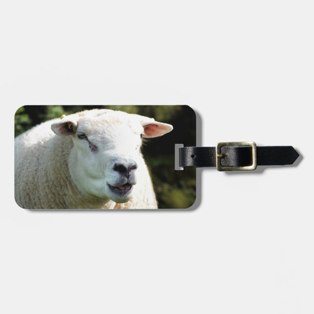 ETIQUETA PARA MALETAS LA RAM (Frente Horizontal)