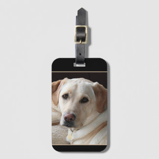 Etiqueta Para Maletas Labrador amarillo recuperador