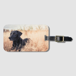 Etiqueta Para Maletas Labrador Negro En Grasa Seca