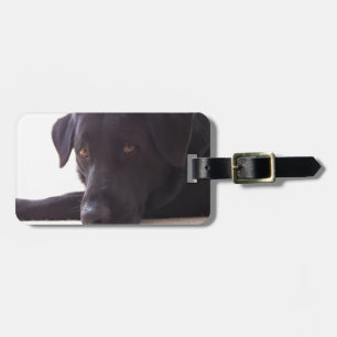 Etiqueta Para Maletas labrador retriever