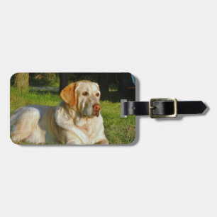 Etiqueta Para Maletas Labrador retriever amarillo