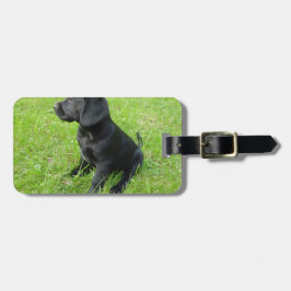 Etiqueta Para Maletas Labrador Retriever Negro En Césped