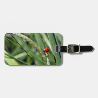 Etiqueta Para Maletas Ladybug (Coccinellidae)