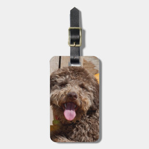 Etiqueta Para Maletas Lagotto Romagnolo acostado en un banco de madera