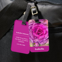 Lechuga rosa