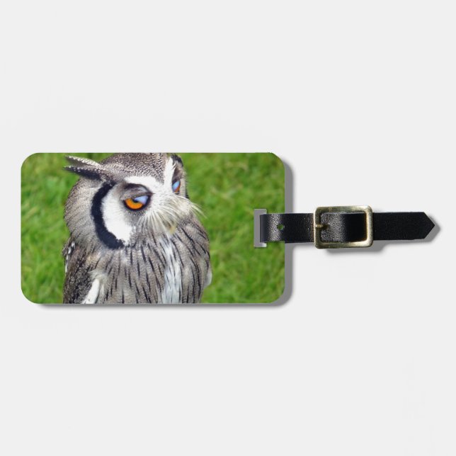 Etiqueta Para Maletas Lechuza Gorgosa (Frente Horizontal)