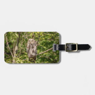 Etiqueta Para Maletas Lechuza Sleepy Barred
