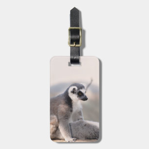 Etiqueta Para Maletas Lemur en Madagascar