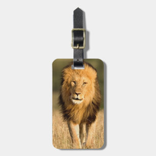 Etiqueta Para Maletas León Macho Caminando