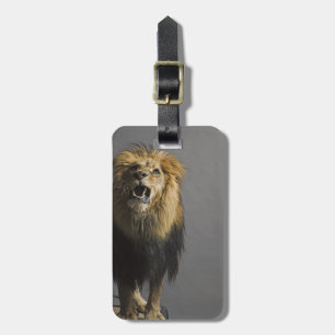 Etiqueta Para Maletas León que ruge