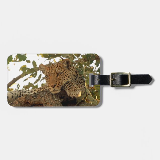 Etiqueta Para Maletas Leopardo en descanso (Frente Horizontal)