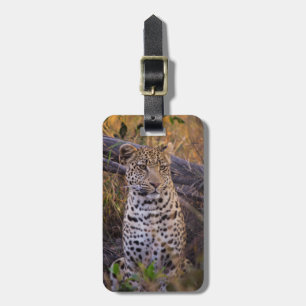 Etiqueta Para Maletas Leopardo sentado, Botsuana, África