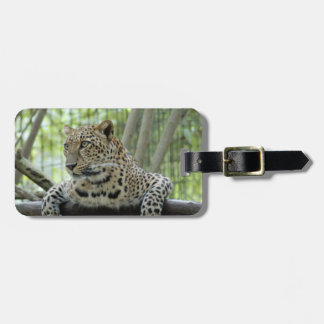 Etiqueta Para Maletas LeopardSundari_007