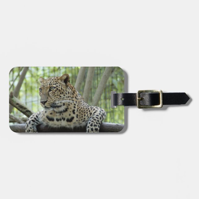 Etiqueta Para Maletas LeopardSundari_007 (Frente Horizontal)