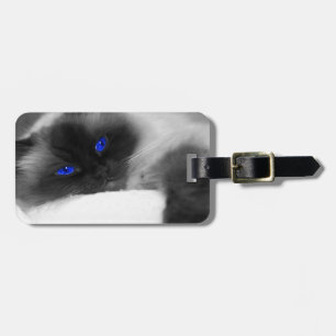Etiqueta Para Maletas lindo gatito