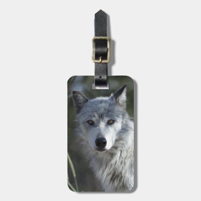 Etiqueta Para Maletas Lobo en Yellowstone (Frente Vertical)