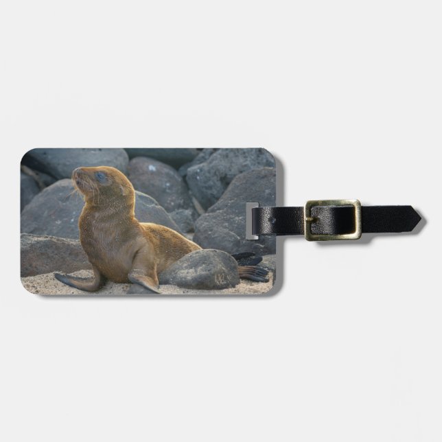 Etiqueta Para Maletas Lobo Marino de Galápagos (Frente Horizontal)
