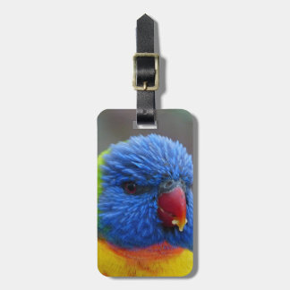 Etiqueta Para Maletas Lori_2015_0203