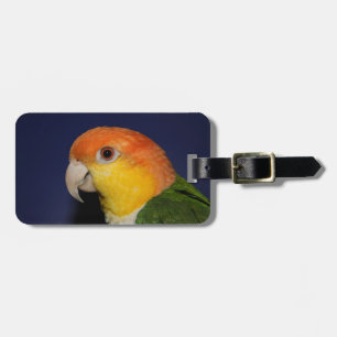Etiqueta Para Maletas Loro colorido del caique