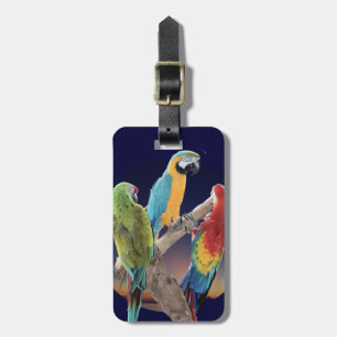 Etiqueta Para Maletas Loros del Macaw