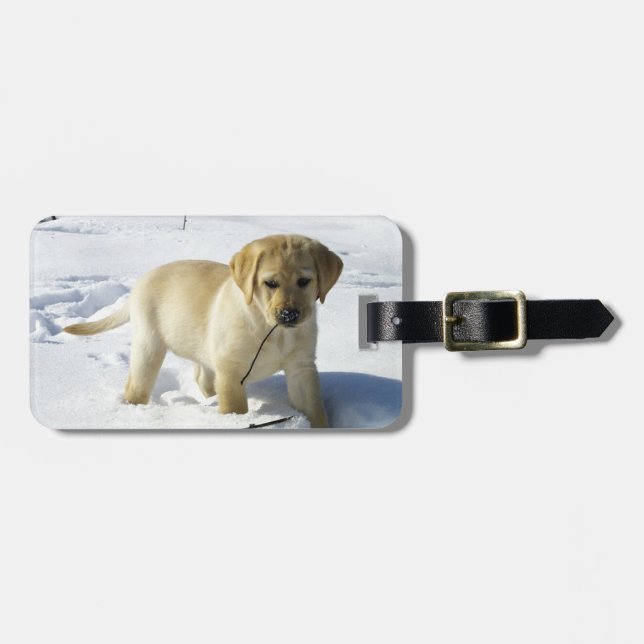 Etiqueta Para Maletas LR yellow lab puppy in snow (Frente Horizontal)