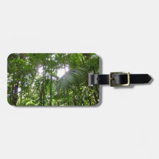 Etiqueta Para Maletas Luz solar a través de la selva tropical con cubier