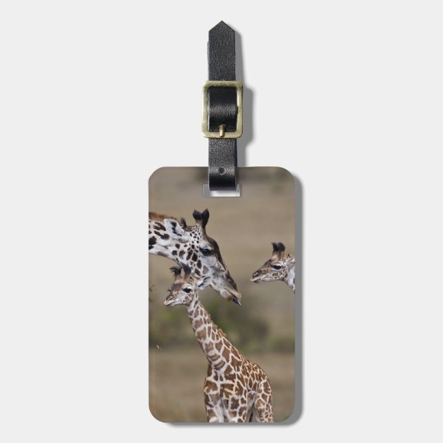 Etiqueta Para Maletas Maasai Giraffe (Giraffe Tippeleluchi) (Frente Vertical)