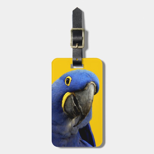 Etiqueta Para Maletas Macaw del jacinto (Frente Vertical)
