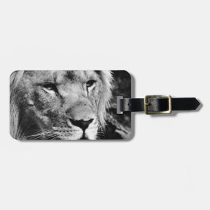 Etiqueta Para Maletas macro de closet macho de áfrica lion