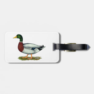 Etiqueta Para Maletas Mallard Duck Drake