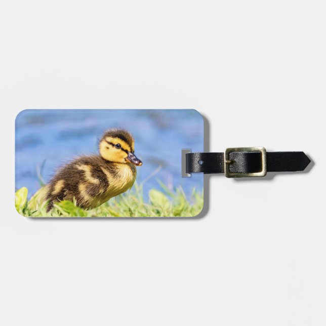 Etiqueta Para Maletas Mallard Duckling (Frente Horizontal)