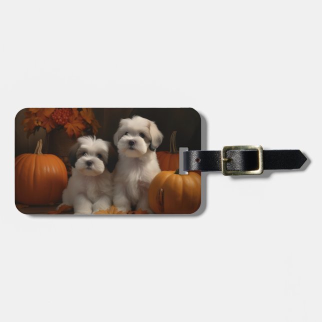 Etiqueta Para Maletas Malti tzu Puppy Calabaza deslumbrante de otoño (Frente Horizontal)